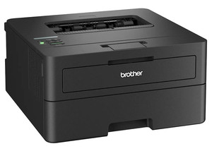 Принтер лазерный Brother HL-L2460DN